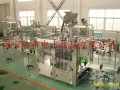 饮料灌装机生产线 (1图)